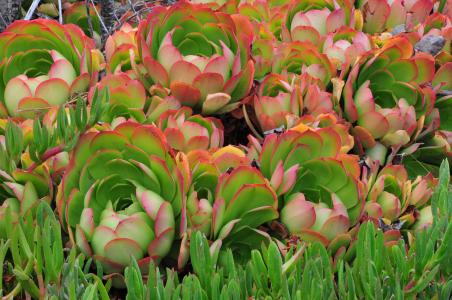 й½ϳƫ ȫůorȫ䣿